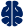 LDM Icon